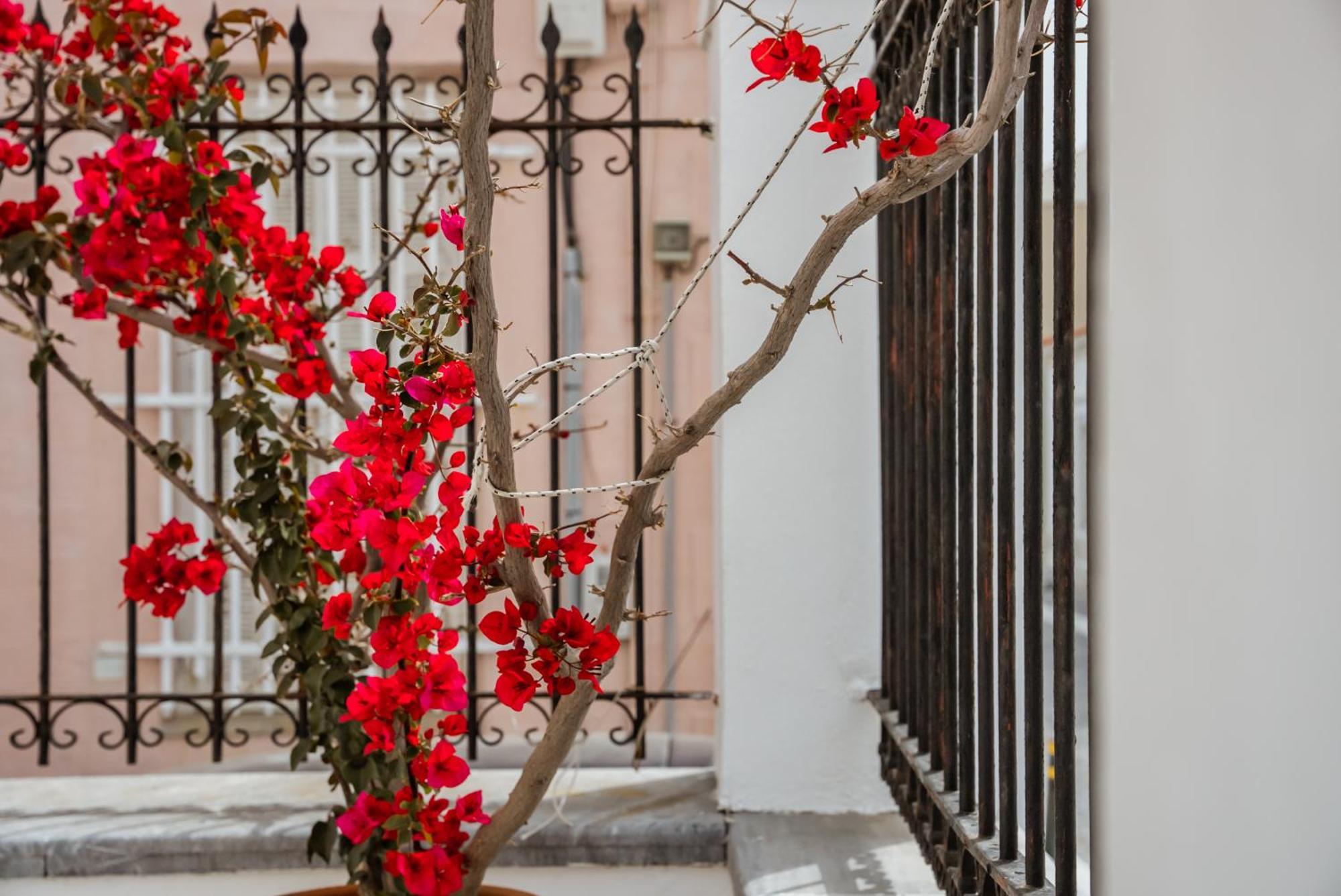 Archontiko Eleni Hotel Andros Town Bagian luar foto